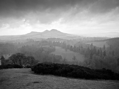 scott's view, borders