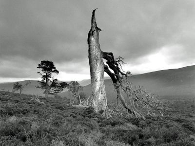 braemar, aberdeenshire, highlands