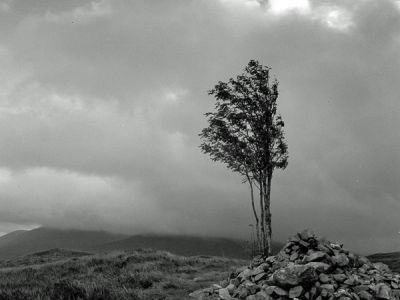 près de bridge of Orchy sur la west highland way