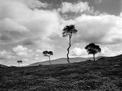 environs de braemar, aberdeenshire, highlands