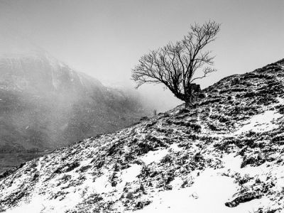 ben nevis, point culminant des îles Britanniques avec 1 344 mètres d'altitude, fort william, monts grampians, highlands