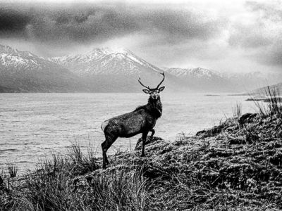 loch Archaig, lochaber, highlands