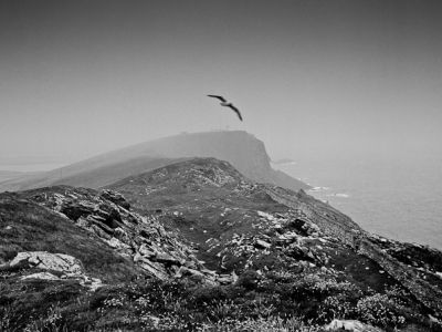 sumburgh head, mainland, shetland