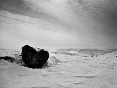 dans l'immensité de la banquise