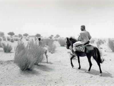 Tchad, voyageur dans le Sahel