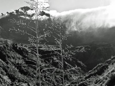 Réunion, vers Cilaos