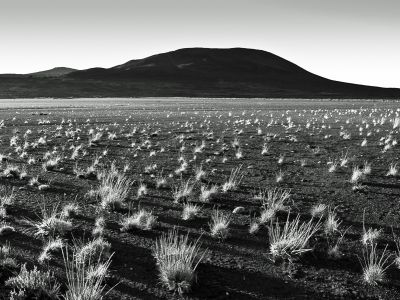 Réunion, la plaine des sables