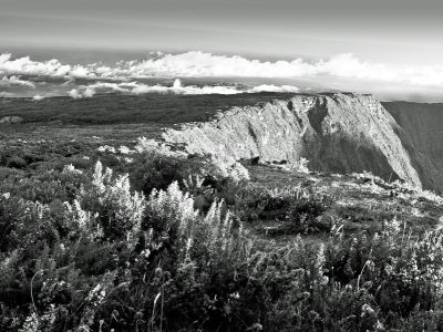 Réunion, sur le piton Maïdo