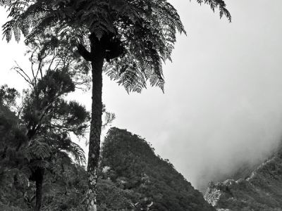 Réunion, en descendant à Mafate