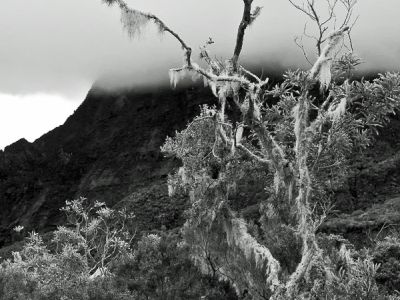 Réunion, cirque de Mafate