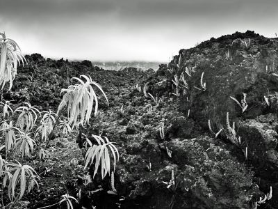 Réunion, coulée de lave