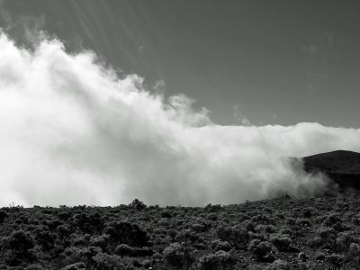 Réunion, près de la Fournaise