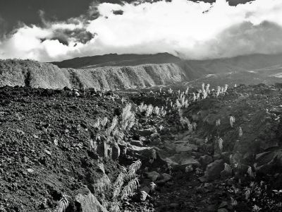 Réunion, coulée de lave