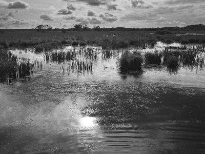 Photo de Bretagne, Loire Atlantique