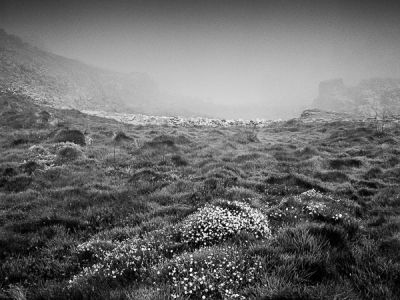 Photo de Bretagne, Finistère Nord