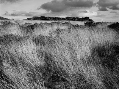 Photo de Bretagne, Finistère Nord