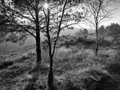 Photo de Bretagne, Ille et Vilaine