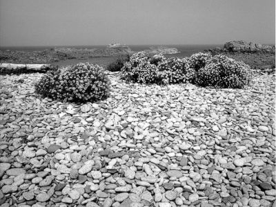 Photo de Bretagne, Côtes D'Armor