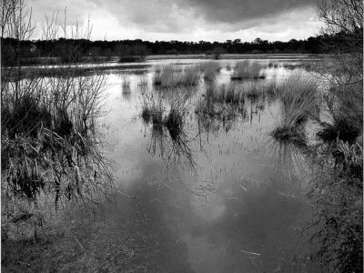 Photo de Bretagne, Morbihan