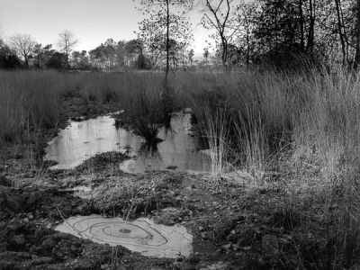 Brocéliande-Ille et Vilaine