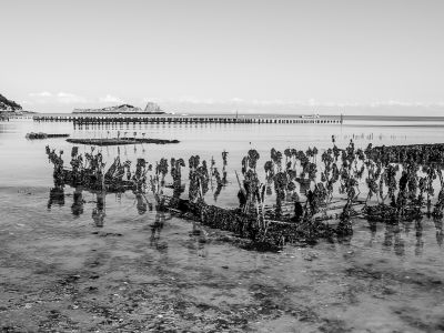 Cancale-Ille et Vilaine