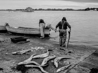 Saint Cado, Morbihan