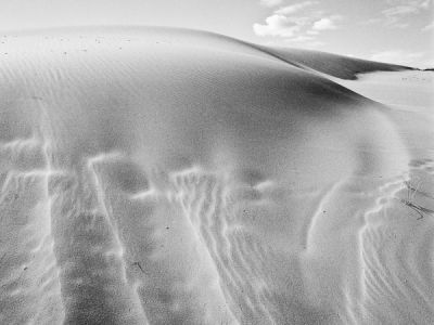 pink sand dunes-utah