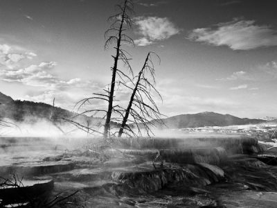 yellowstone national park-wyoming