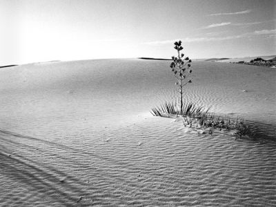 vallée de la mort-californie 6