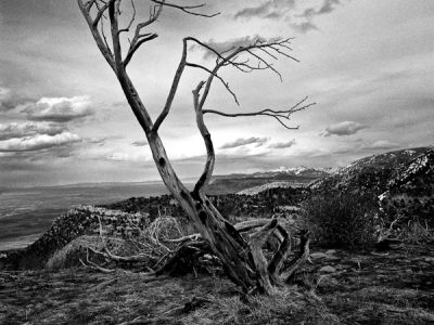 mesa verde-colorado