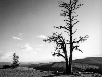 bryce canyon-utah