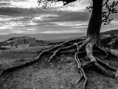 bryce canyon-utah 3