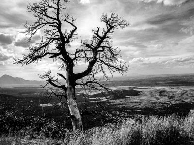 mesa verde-colorado 6