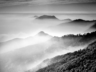 sequoia national park, californie