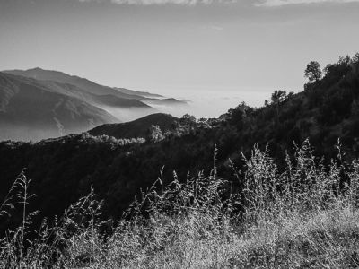 sequoia national park, californie 2