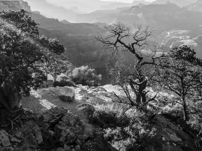 grand canyon-1- arizona