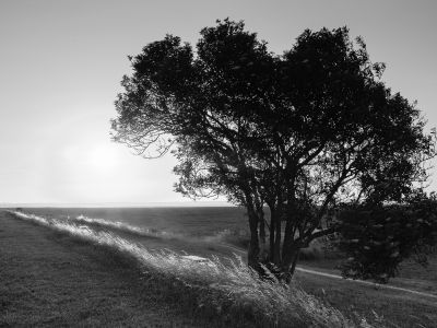 Photo de Bretagne, Baie du Mont-St-Michel